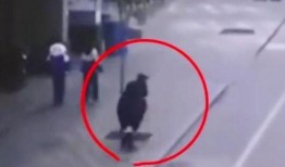 爆料女学生被抓了视频,真相背后引关注