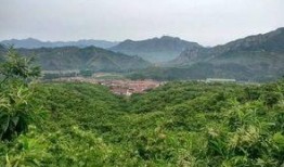 哈纳斯最新爆料,揭秘行业背后惊人内幕