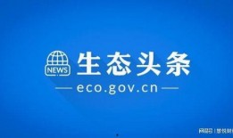 零碳联盟新闻爆料,揭秘绿色低碳发展新动态