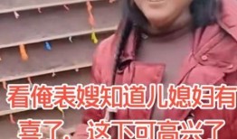 陕西儿媳妇爆料事件视频,揭露家庭矛盾背后的真相