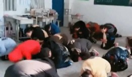 射阳六中家长爆料事件视频,真相与争议交织