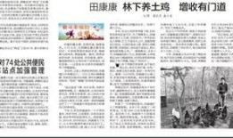 今日新鲜爆料新闻内容摘抄,重磅！今日新鲜爆料揭露惊人内幕