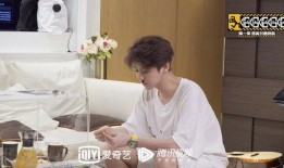 陈赫鹿晗爆料视频,娱乐圈幕后真相大曝光