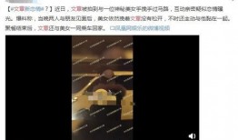 文章恋情疑似爆料视频,恋情曝光！视频揭秘明星甜蜜瞬间