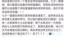 红星新闻怎么发爆料