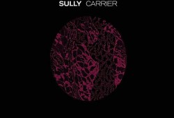 sully 在线观看,Sully空中奇迹真实还原