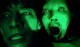 如何处理恐怖视频爆料,策略与行动指南