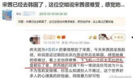 宋茜爆料雪梨视频大全,揭秘娱乐圈背后的秘密